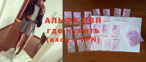 PSILOCYBIN Гусиноозёрск
