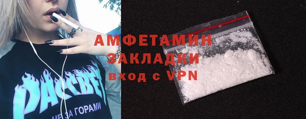 PSILOCYBIN Гусиноозёрск