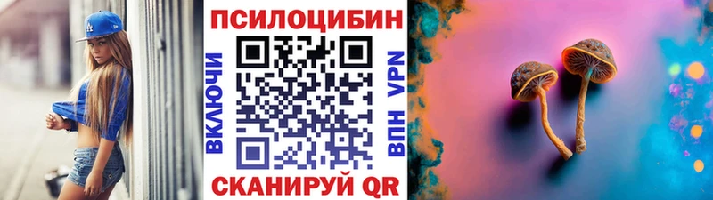 Галлюциногенные грибы GOLDEN TEACHER  наркота  Жиздра 